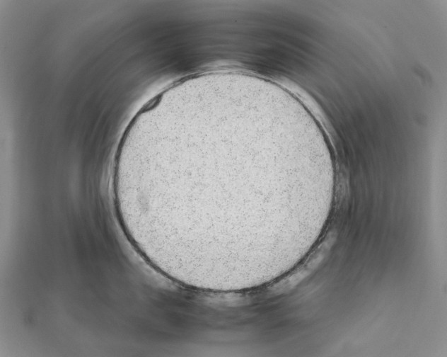 X0000111450957200908241203