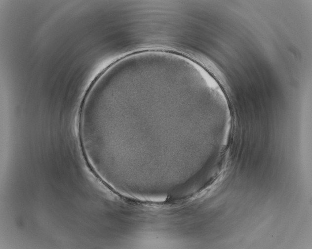 X0000111450958200908241203