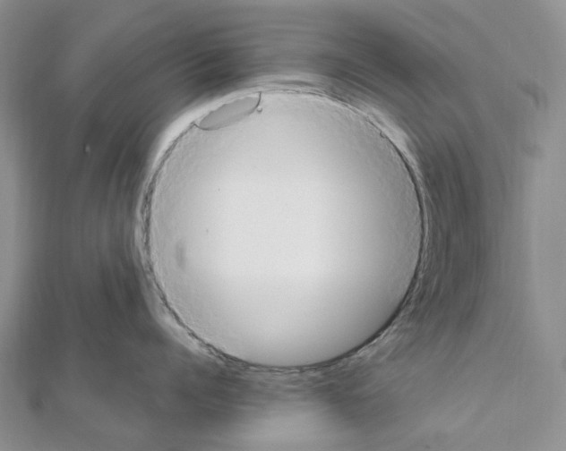 X0000111450960200908241203