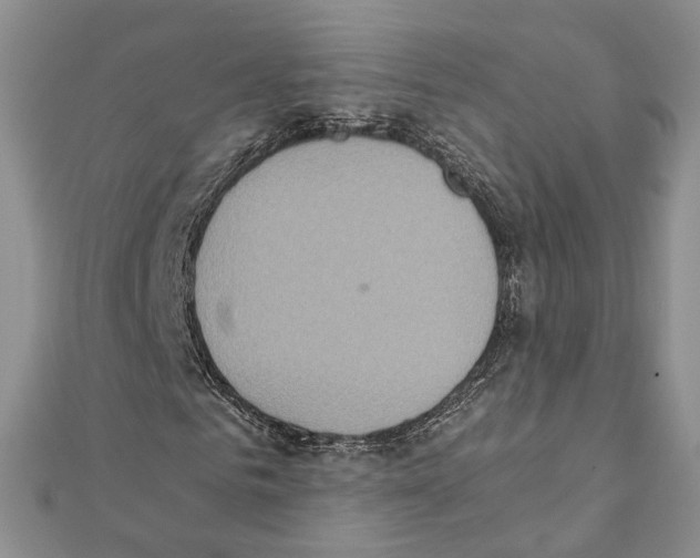 X0000111450961200908241202