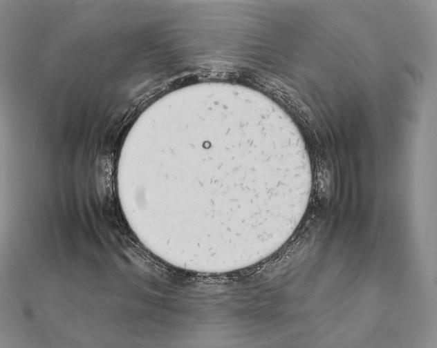 X0000111450964200908241202