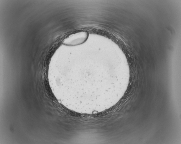 X0000111450965200908241202