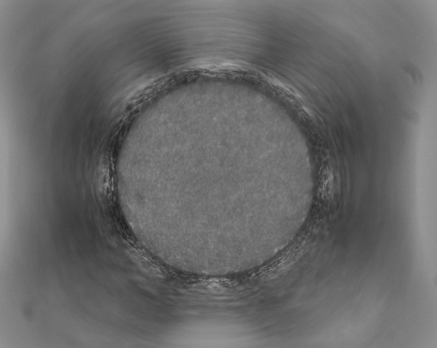 X0000111450966200908241202