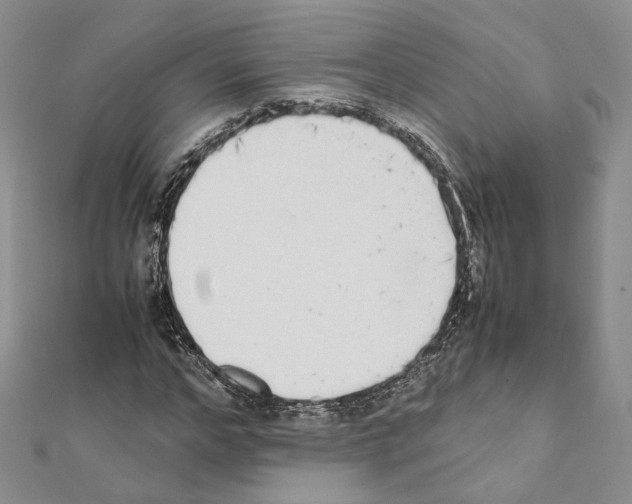 X0000111450968200908241202