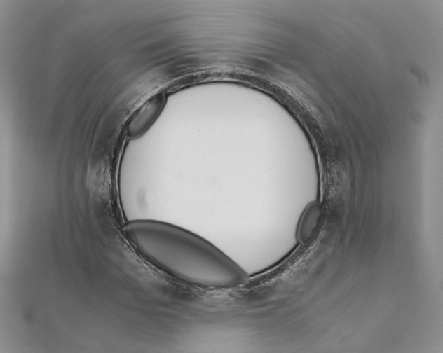 X0000111450969200908241202