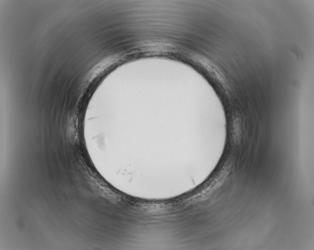 X0000111450970200908241202
