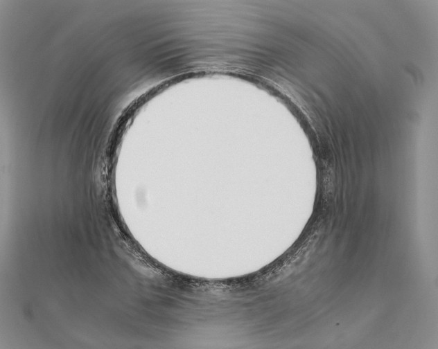 X0000111450971200908241202