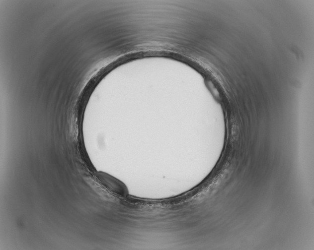 X0000111450973200908241202