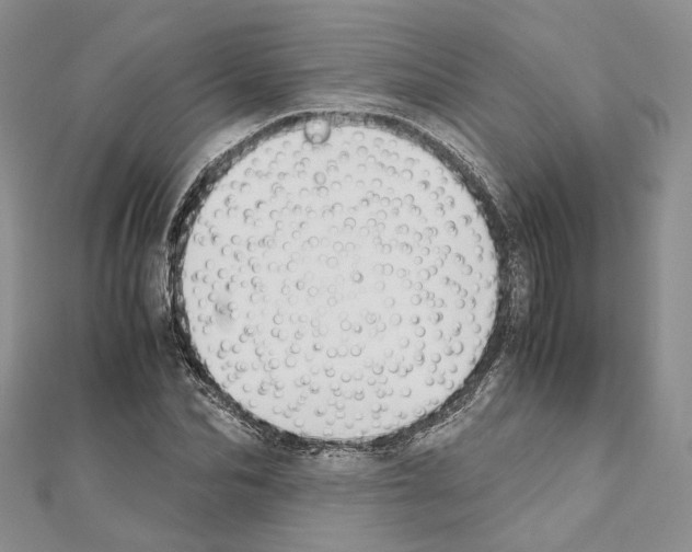 X0000111450974200908241202