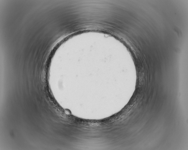 X0000111450975200908241202