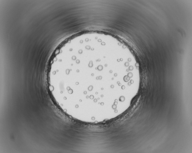 X0000111450976200908241202