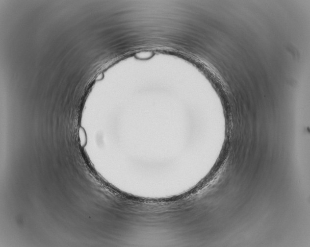 X0000111450977200908241202