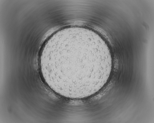 X0000111450978200908241202