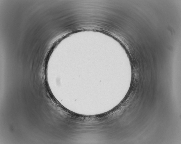 X0000111450979200908241202