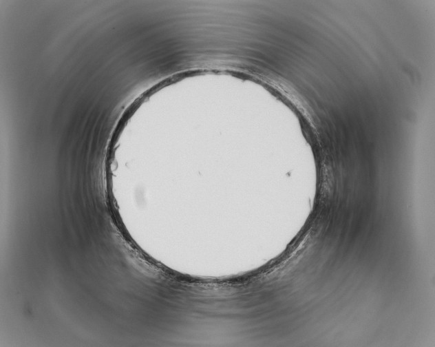 X0000111450980200908241202