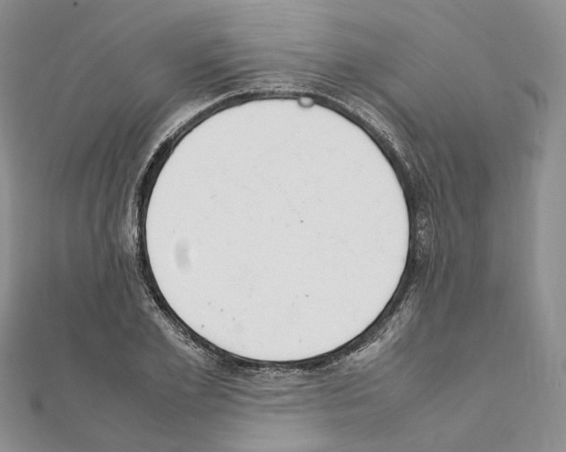 X0000111450981200908241202