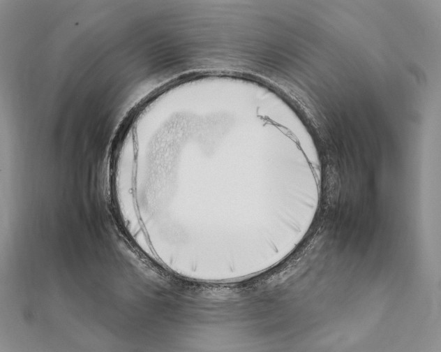 X0000111450982200908241202