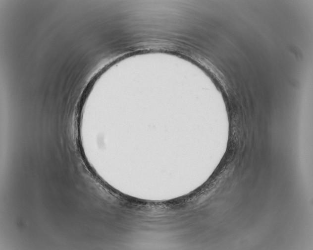 X0000111450983200908241202