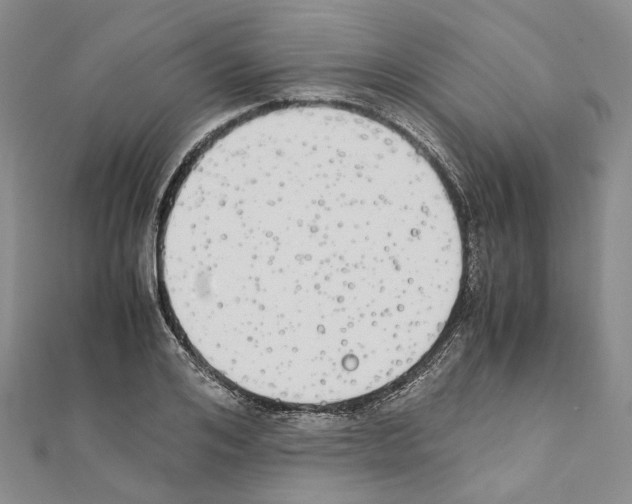 X0000111450984200908241202