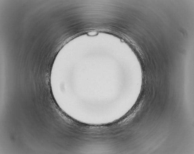 X0000111450985200908241202