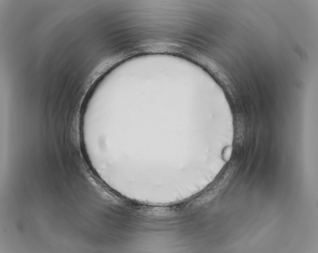 X0000111450986200908241202