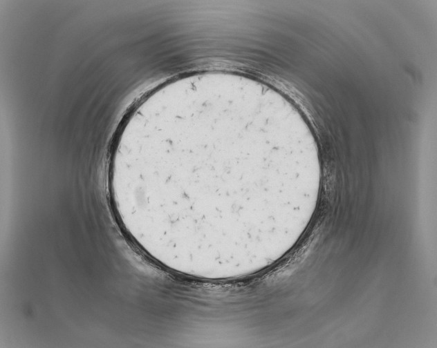 X0000111450987200908241202