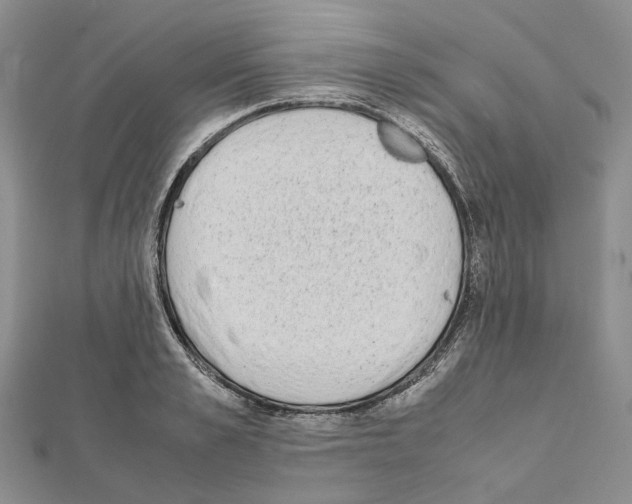 X0000111450989200908241202