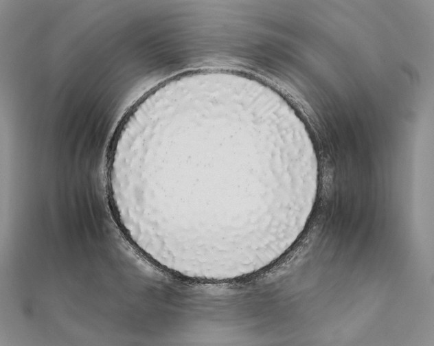 X0000111450990200908241202