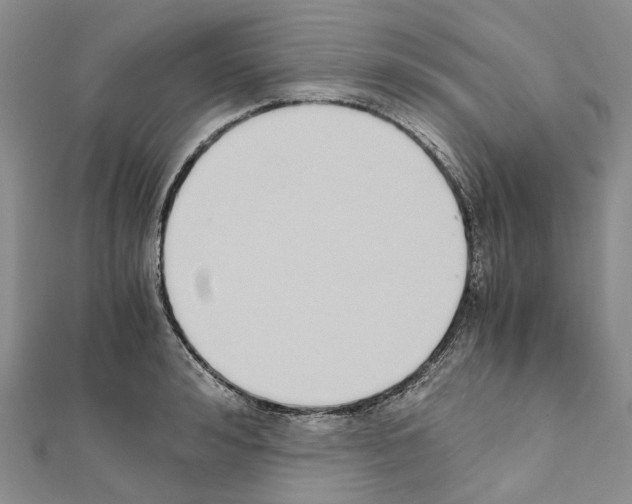 X0000111450992200908241202