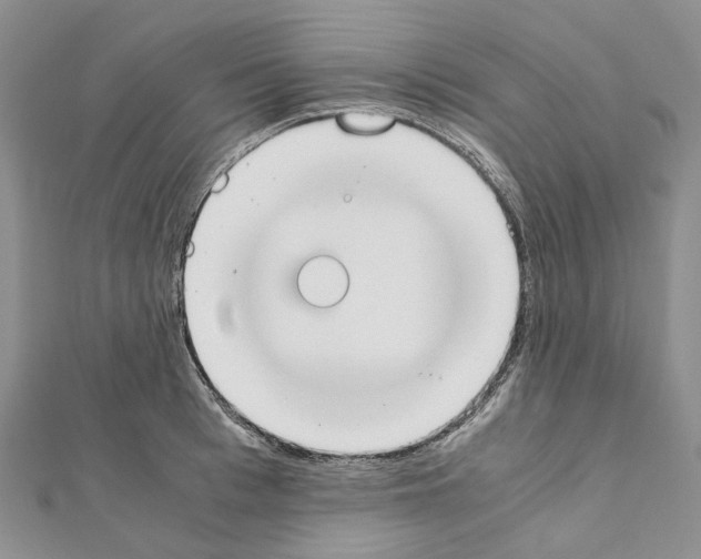 X0000111450993200908241202