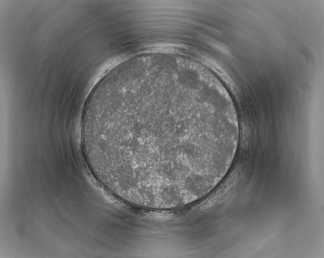 X0000111450994200908241202