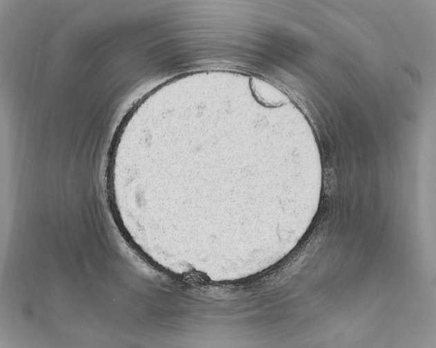 X0000111450995200908241202