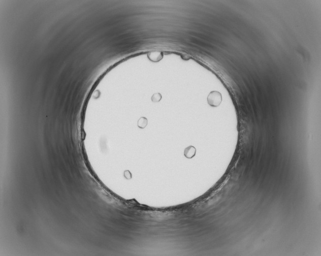 X0000111450996200908241202