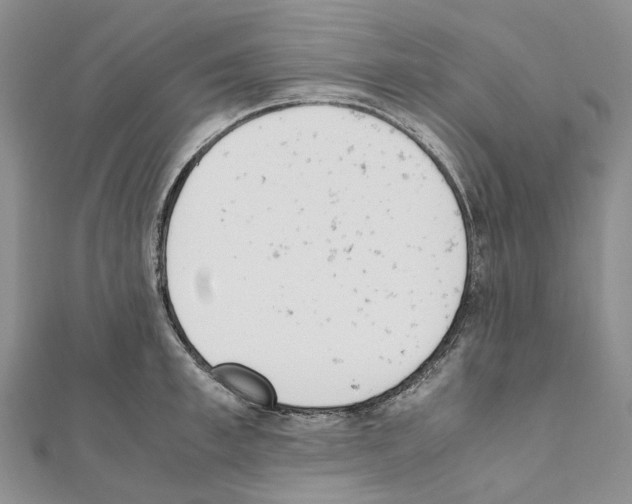 X0000111450997200908241202