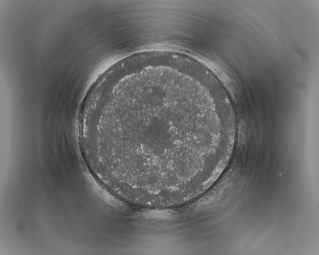 X0000111450998200908241201