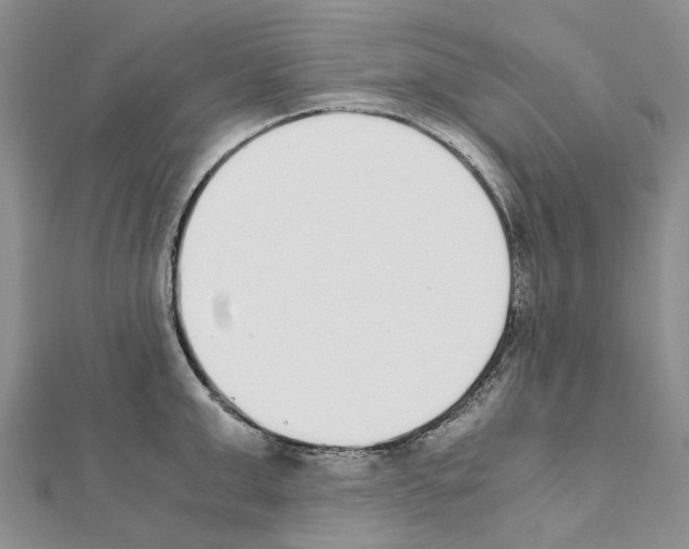 X0000111450999200908241201