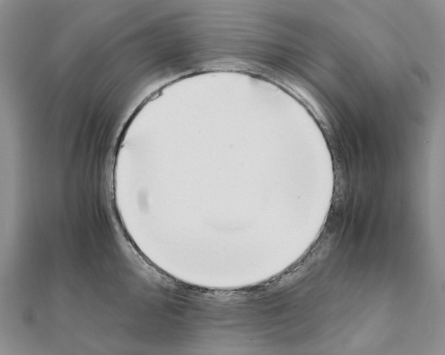 X0000111451000200908241201