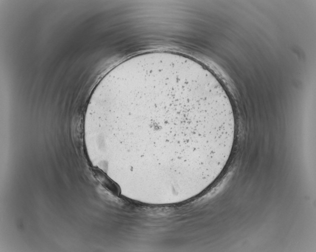 X0000111451001200908241201
