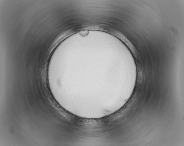 X0000111451002200908241201