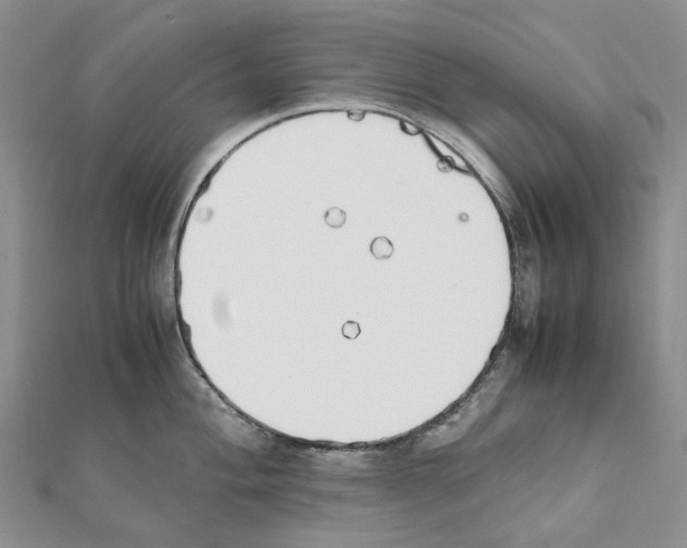 X0000111451004200908241201