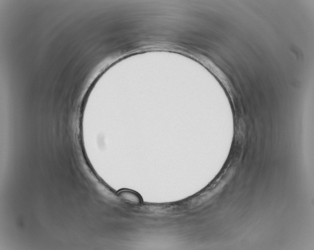 X0000111451005200908241201