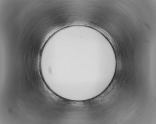 X0000111451006200908241201