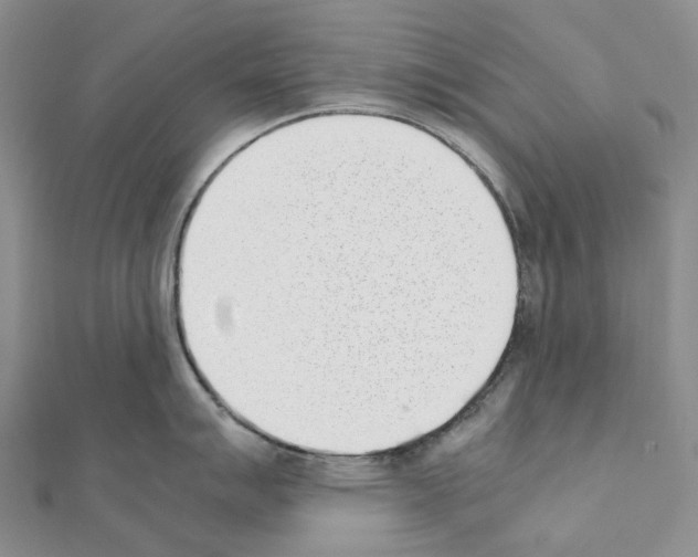 X0000111451007200908241201