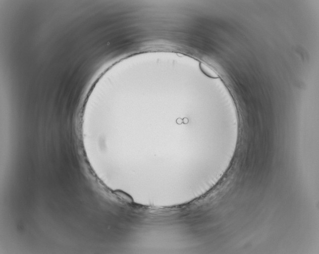 X0000111451008200908241201