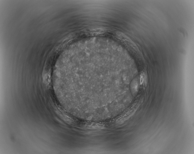 X0000111451011200908241201