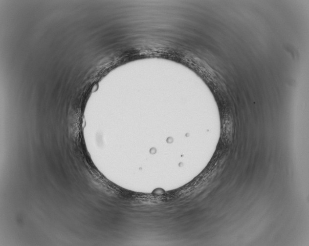 X0000111451012200908241201