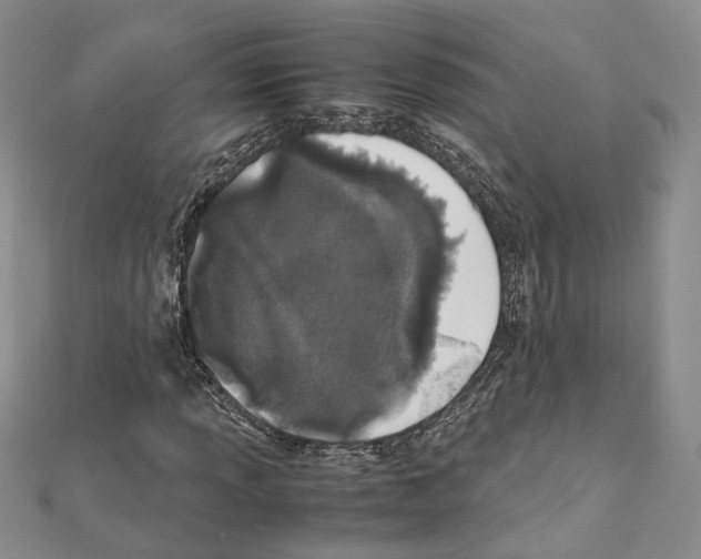 X0000111451013200908241201