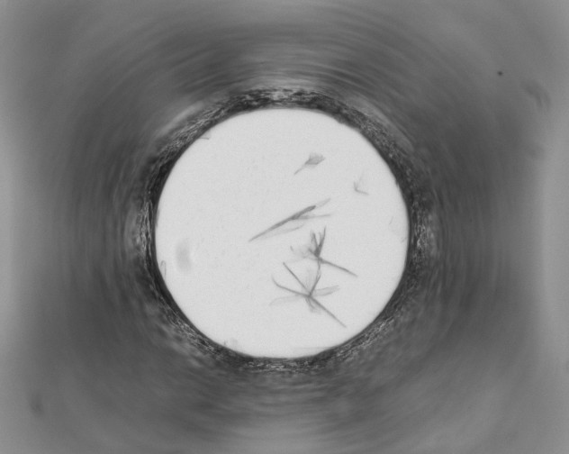 X0000111451014200908241201