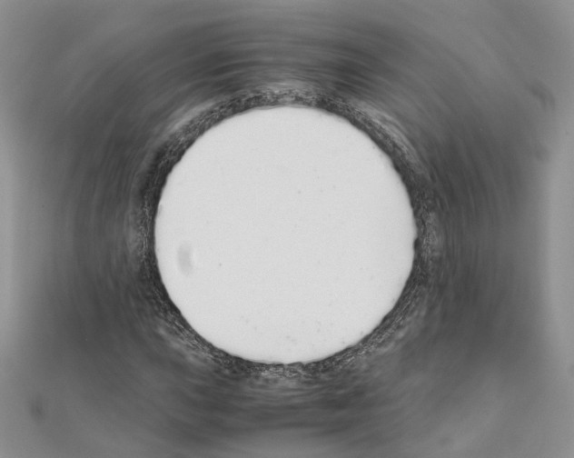 X0000111451015200908241201