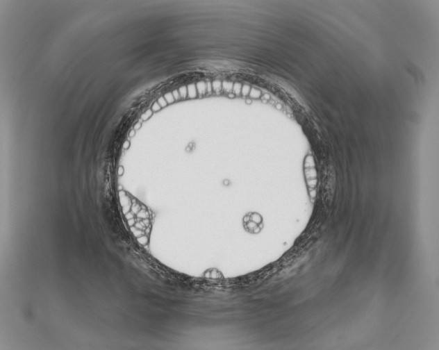 X0000111451016200908241201